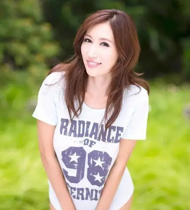 layuiadmi源码免费获取,深度解析其架构与功能
